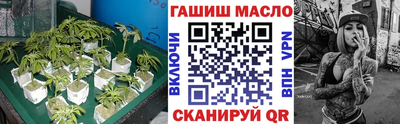 blacksprut сайт  Североморск  ТГК THC oil 