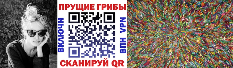 Псилоцибиновые грибы GOLDEN TEACHER  Североморск 