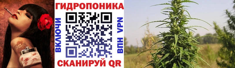 Каннабис White Widow гидра Североморск что такое